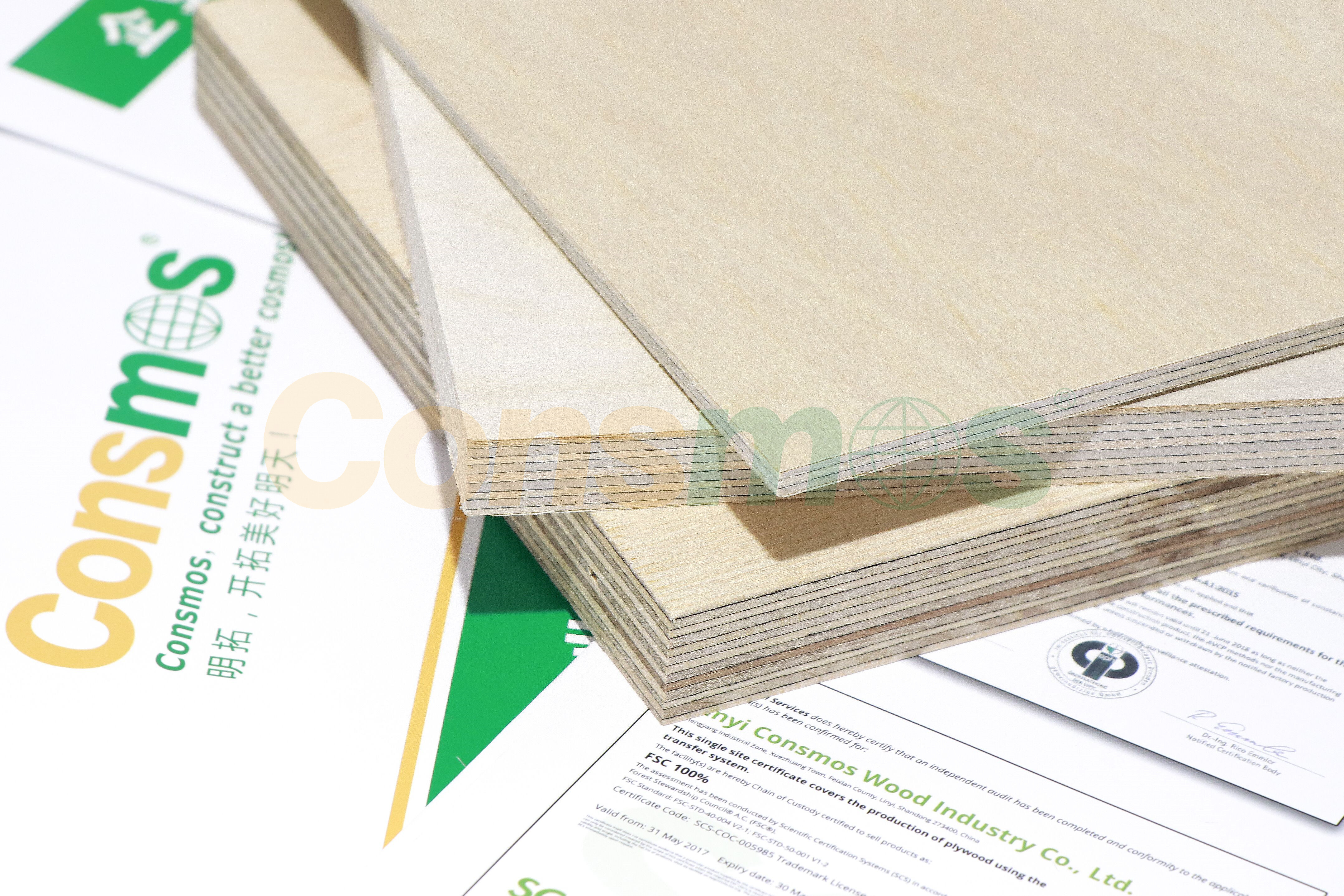 Birch plywood (6).jpg